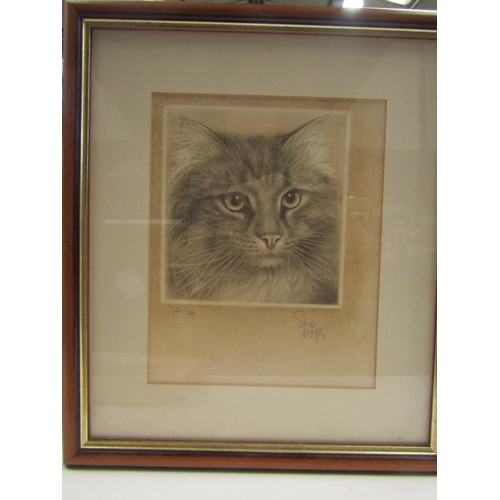 4444A - A Sue Willis limited edition lithograph of cat, two watercolours of landscape scenes and two prints,... 