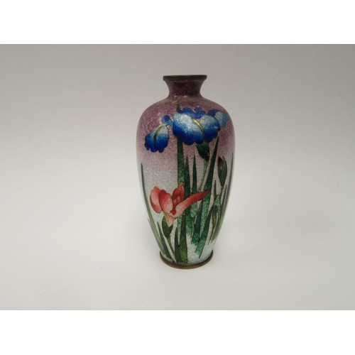 6275 - An Oriental cloisonné baluster form vase mauve bleeding into white depicting still life of iris 13cm... 