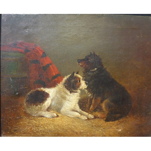 7010 - IN THE MANNER OF GEORGE/EDWARD ARMFIELD: An oil on canvas of terriers, 23cm x 28.5cm, gilt gesso fra... 