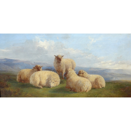 7019 - THOMAS SIDNEY COOPER (1803-1902): An oil on canvas, flock of five sheep in landscape, 24.5cm x 48cm,... 