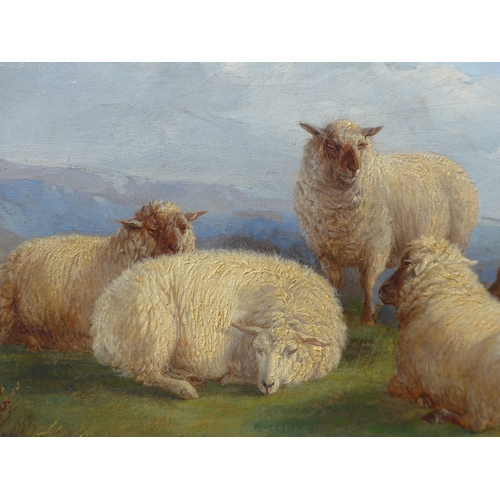 7019 - THOMAS SIDNEY COOPER (1803-1902): An oil on canvas, flock of five sheep in landscape, 24.5cm x 48cm,... 