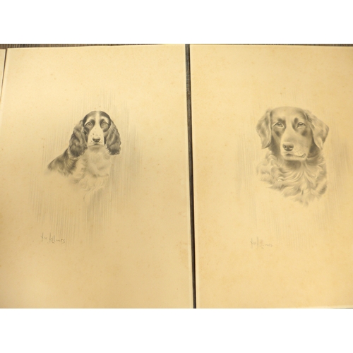 7007 - HERBERT WYNN HELLINGS (1873-1948) Six unframed pencil drawings including dog and cat studies and sce... 