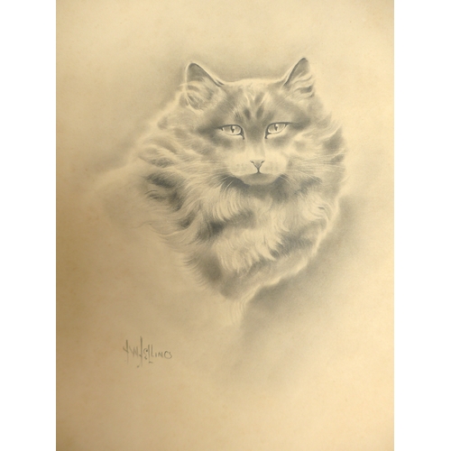 7007 - HERBERT WYNN HELLINGS (1873-1948) Six unframed pencil drawings including dog and cat studies and sce... 