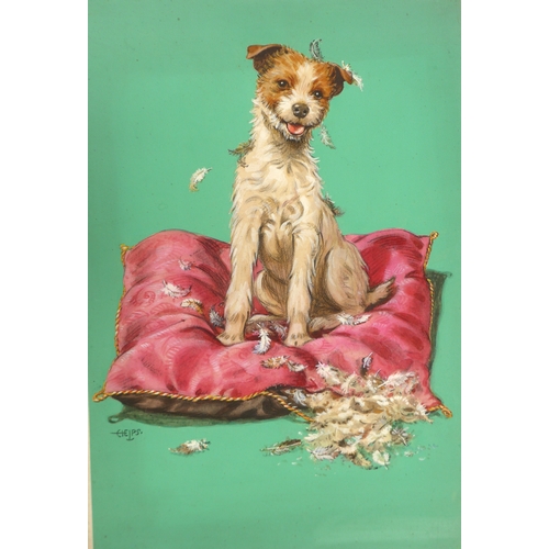 7008 - Two early 20th Century mixed media on card studies of Terriers, one titled 'A Feather in his Cap'. B... 