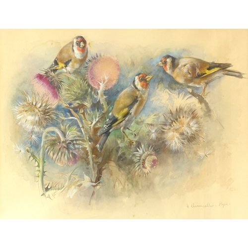 7081 - HILDA CHANCELLOR POPE (1913-1976) A framed and glazed watercolour, Goldfinches on Thistles. Signed b... 