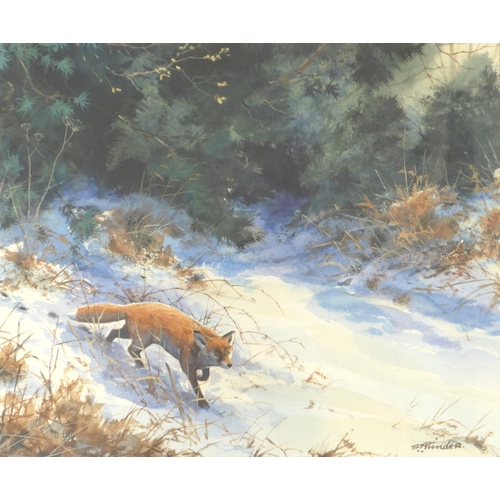 7085 - SIMON TRINDER (b.1958) A framed and glazed watercolour, 'Fox & Woodcock'. Signed bottom right, label... 