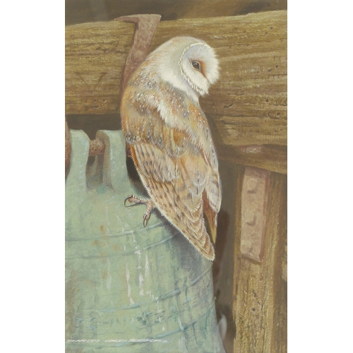 7082 - DAVID ORD KERR (b.1951) Two framed and glazed watercolour studies of birds - Waxwing and Barn Owl. B... 