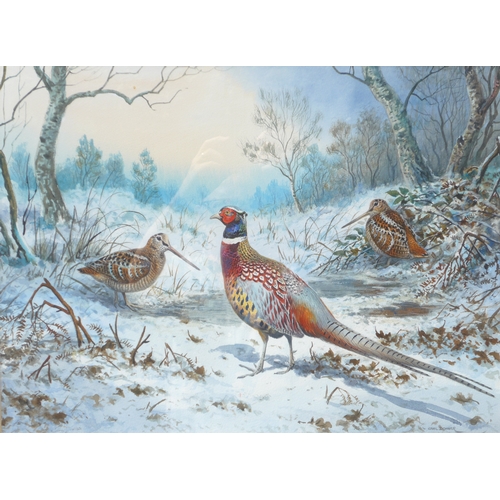 7083 - CARL DONNER (b.1957) A framed and glazed watercolour, 'Cock Pheasant and Woodcock'. Signed bottom ri... 