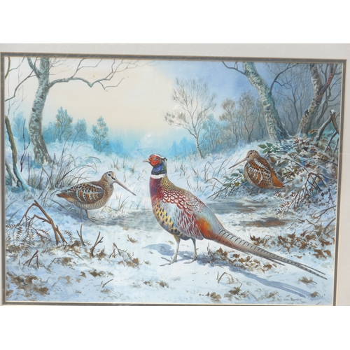 7083 - CARL DONNER (b.1957) A framed and glazed watercolour, 'Cock Pheasant and Woodcock'. Signed bottom ri... 