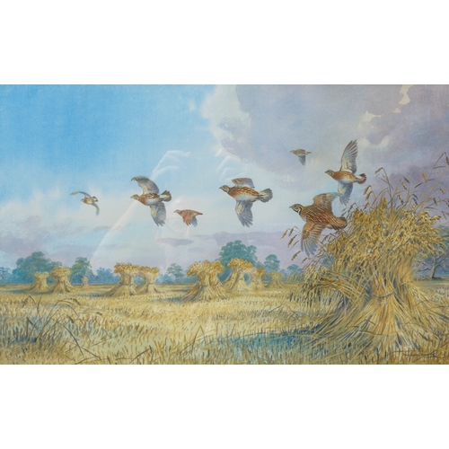 7084 - CARL DONNER (b.1957) A framed and glazed watercolour, 'A Bevy of Quail of the Stooks'. Signed bottom... 