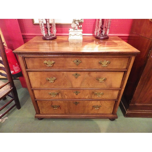 Lot 4028      