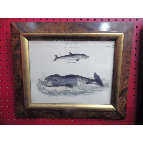 Lot 4045      