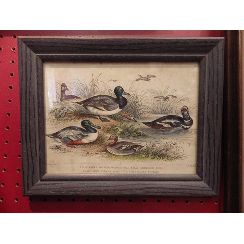 Lot 4052      