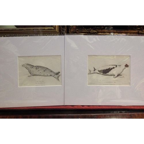Lot 4055      