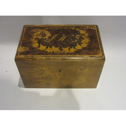 1015 - A pen-and-ink work twin compartment tea caddy, with monogram to top 'J.W.' 24.5x15x15.5cm