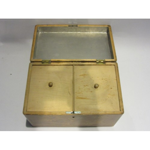 1015 - A pen-and-ink work twin compartment tea caddy, with monogram to top 'J.W.' 24.5x15x15.5cm