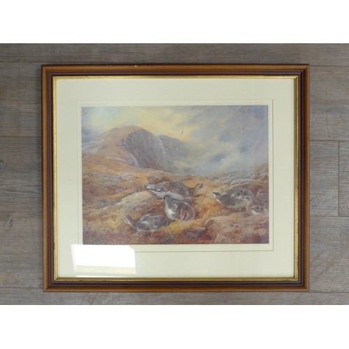 1196 - After Archibald Thorburn - A framed and glazed limited edition print - 'Ptarmigan in Autumn Plumage'... 