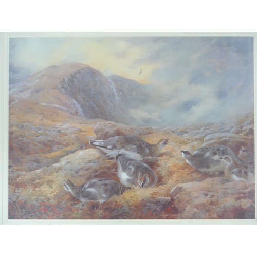 1196 - After Archibald Thorburn - A framed and glazed limited edition print - 'Ptarmigan in Autumn Plumage'... 