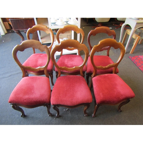 1255 - A set of six Victorian mahogany spoon-back chairs with outswept front legs and maroon drop-in seats