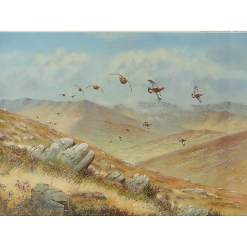 1373 - After Richard Robjent - A framed and glazed print - Red Grouse in flight. Pencil signed in margin. I... 