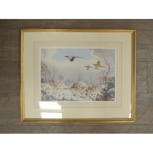 1151 - After J.C Harrison - A framed and glazed print, published by Pensthorpe Trust, 'Pheasants in flight ... 