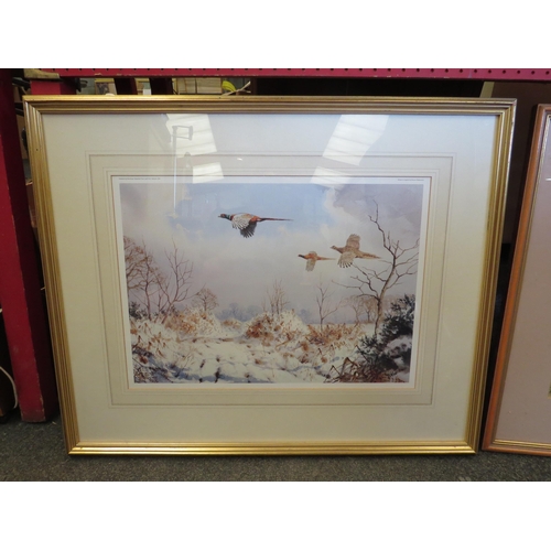 1151 - After J.C Harrison - A framed and glazed print, published by Pensthorpe Trust, 'Pheasants in flight ... 