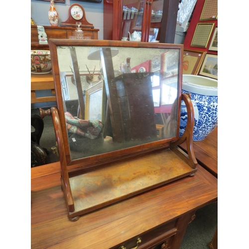 1219 - A 19th Century mahogany bathroom swing mirror with scrolled supports on bun feet