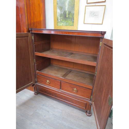 2094 - A 19th Century mahogany two door house keepers cupboard, pillar detail, sliding trays and drawers to... 