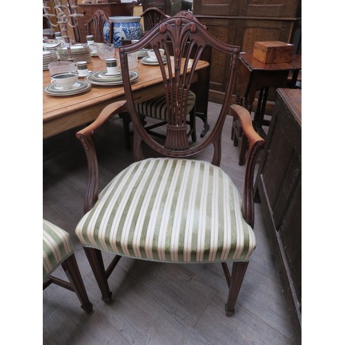 2152 - A set of Hepplewhite style dining chairs; six and two carvers with green velour stripe upholstery Pr... 