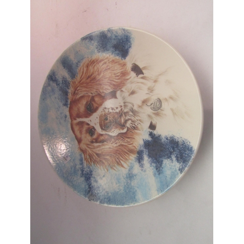 1627 - A Poole Pottery charger decorated with Springer Spaniel by Jane Brewer, 26.5cm diameter