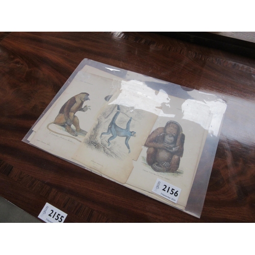 2156 - A selection of 19th Century animal prints