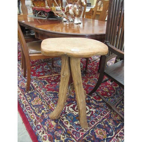 2196 - A tree trunk lamp table