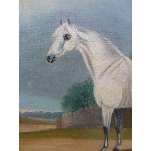 7011 - JOHN R. HOBART (1788-1863) An oil on canvas of a white horse in landscape. Signed bottom right and d... 