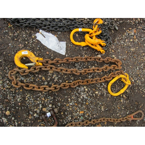 3504 - A lifting chain with hook