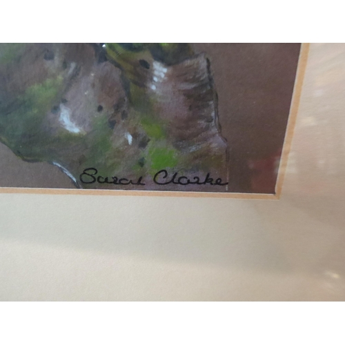 4043 - SARAH CLARKE (XX): A framed and glazed acrylic on paper of Kingfisher with catch.  Signed bottom rig... 