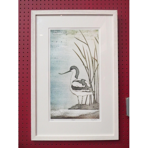 4044 - KERRY BUCK (XX): A modern limited edition screen print 'Avocet', no. 14/50, signed to margin, framed... 