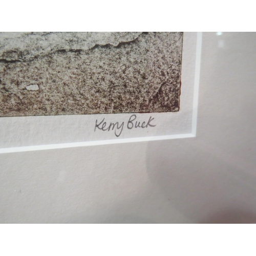 4044 - KERRY BUCK (XX): A modern limited edition screen print 'Avocet', no. 14/50, signed to margin, framed... 