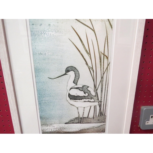 4044 - KERRY BUCK (XX): A modern limited edition screen print 'Avocet', no. 14/50, signed to margin, framed... 