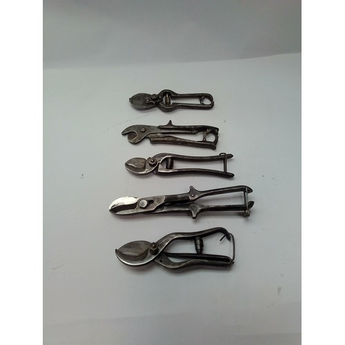 8240 - Five pairs of metal secateurs including Spear & Jackson