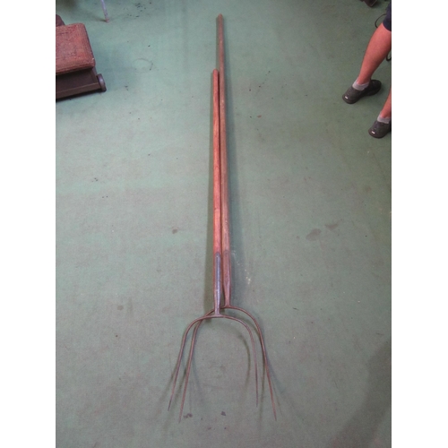 8058 - Two long handle two tine hay forks