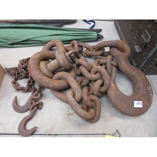 8173 - A 5 1/4 ton SWL 6ft hook, shackle, heavy chain and one other