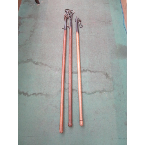 8191 - Three long handle bull leads