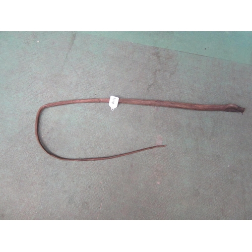 8196 - A leather whip