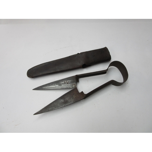 8198 - A pair of sheep shears in leather case