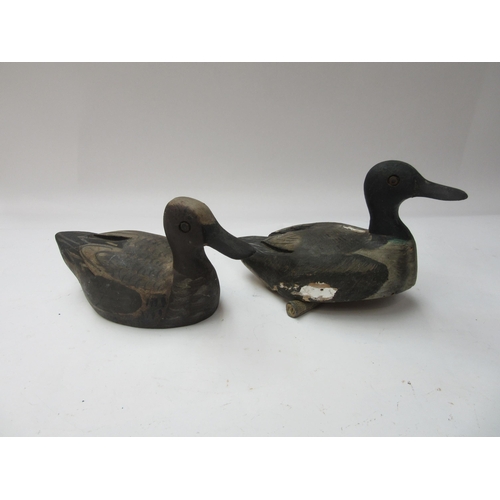 8229 - A pair of painted wooden decoy ducks with weights