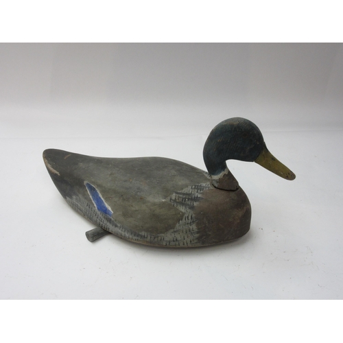 8234 - A wooden painted Mallard decoy duck with weight, JM to base