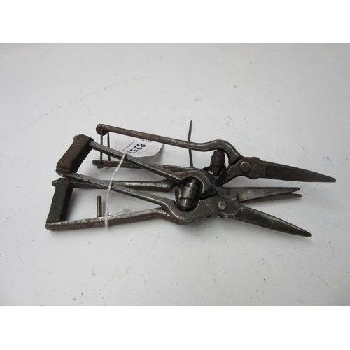 8257 - Three pairs of grape picking secateurs