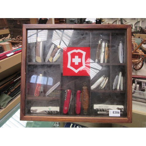 8386 - An easel back penknife display cabinet with a selection of mixed penknives including mother of pearl... 