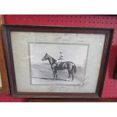 1059 - An oak framed photograph of race horse and jockey 1929, 