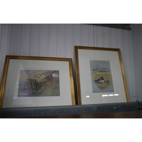 2107 - A pair of limited edition bird prints after A.Thormburn